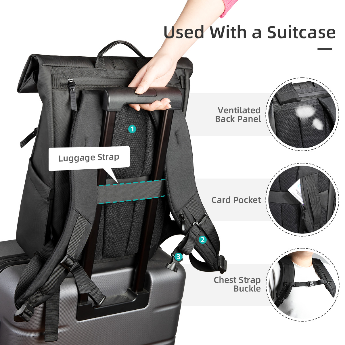 Heroic Knight Ransel Rolltop M - Luxury Bags Coach ulasan dan harga