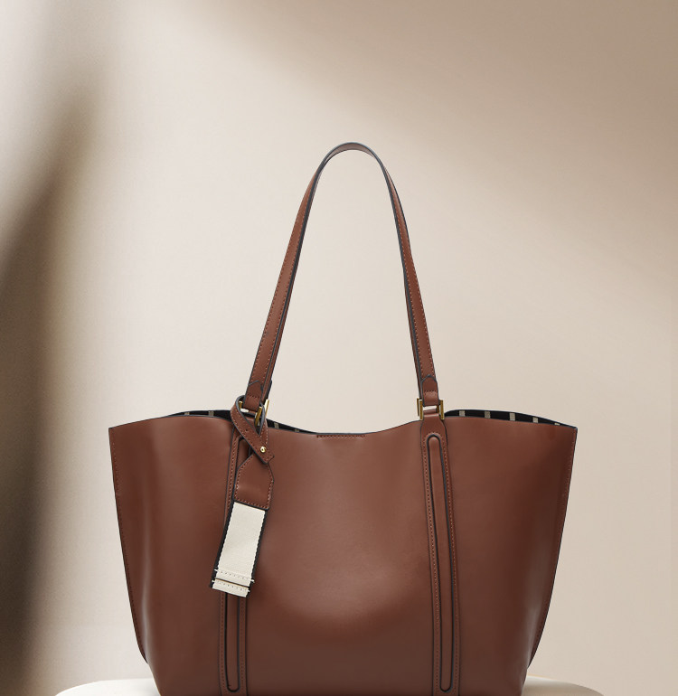 Tas Tote wanita, tas jinjing b - Luxury Bags Coach ulasan dan harga